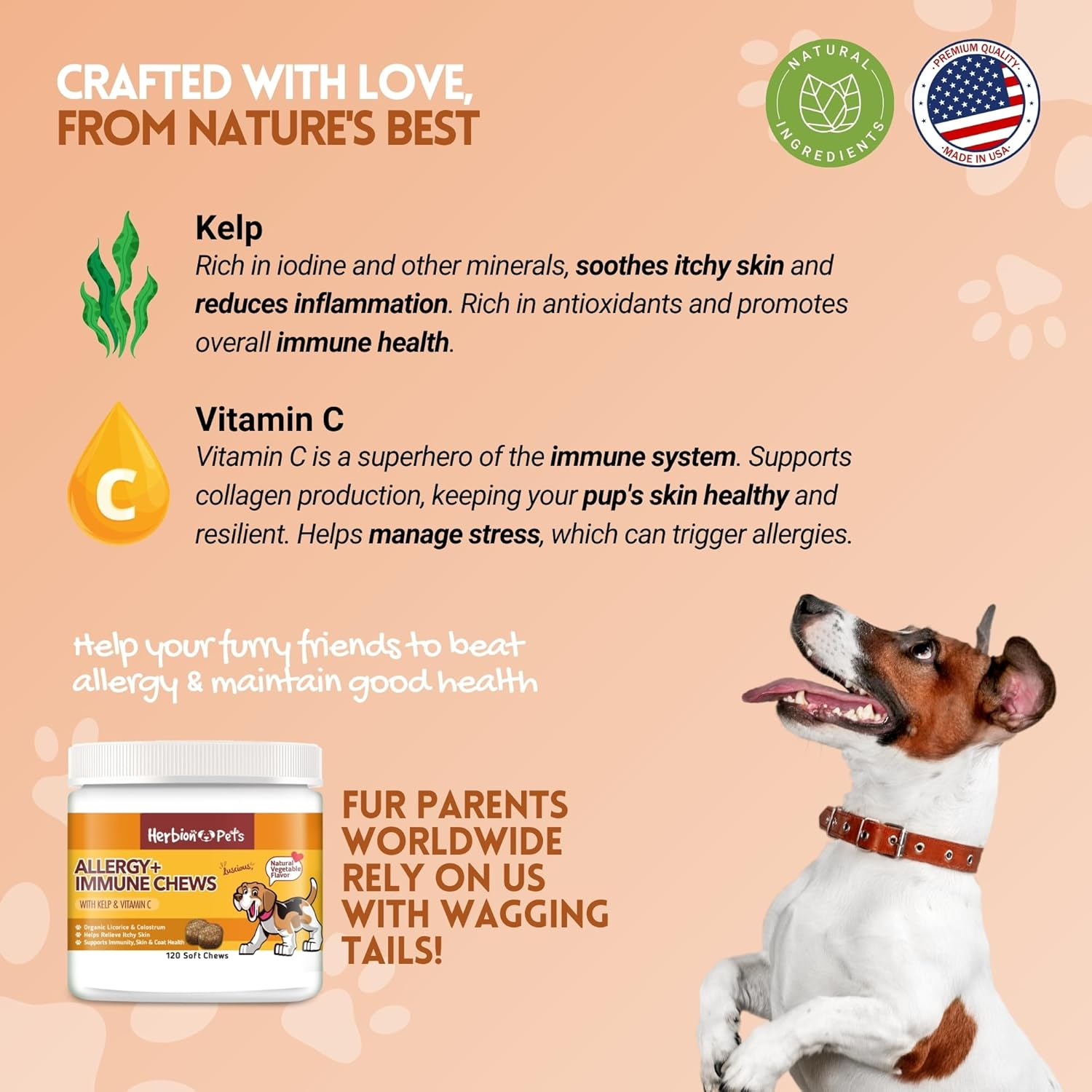 Herbion Pets Allergy + Immune Chews with Kelp & Vitamin C, 120 Soft Chews &ndash; Supports Immunity, Skin & Coat Health &ndash; Relieves Itchy Skin &ndash; Made in USA. Natural Vegetable Flavor &ndash; for Dogs 12 Weeks + image number 2