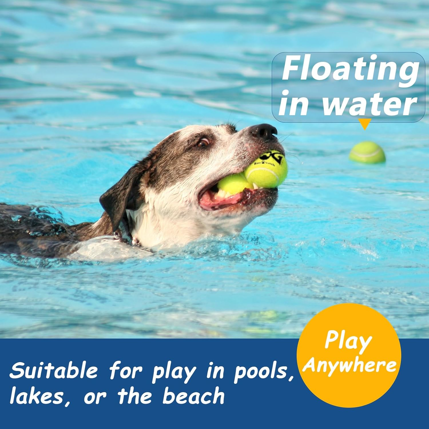 Insum Tennis Ball for Dog Pack of 12 Colorful Easy Catching Pet Dog Ball image number 4