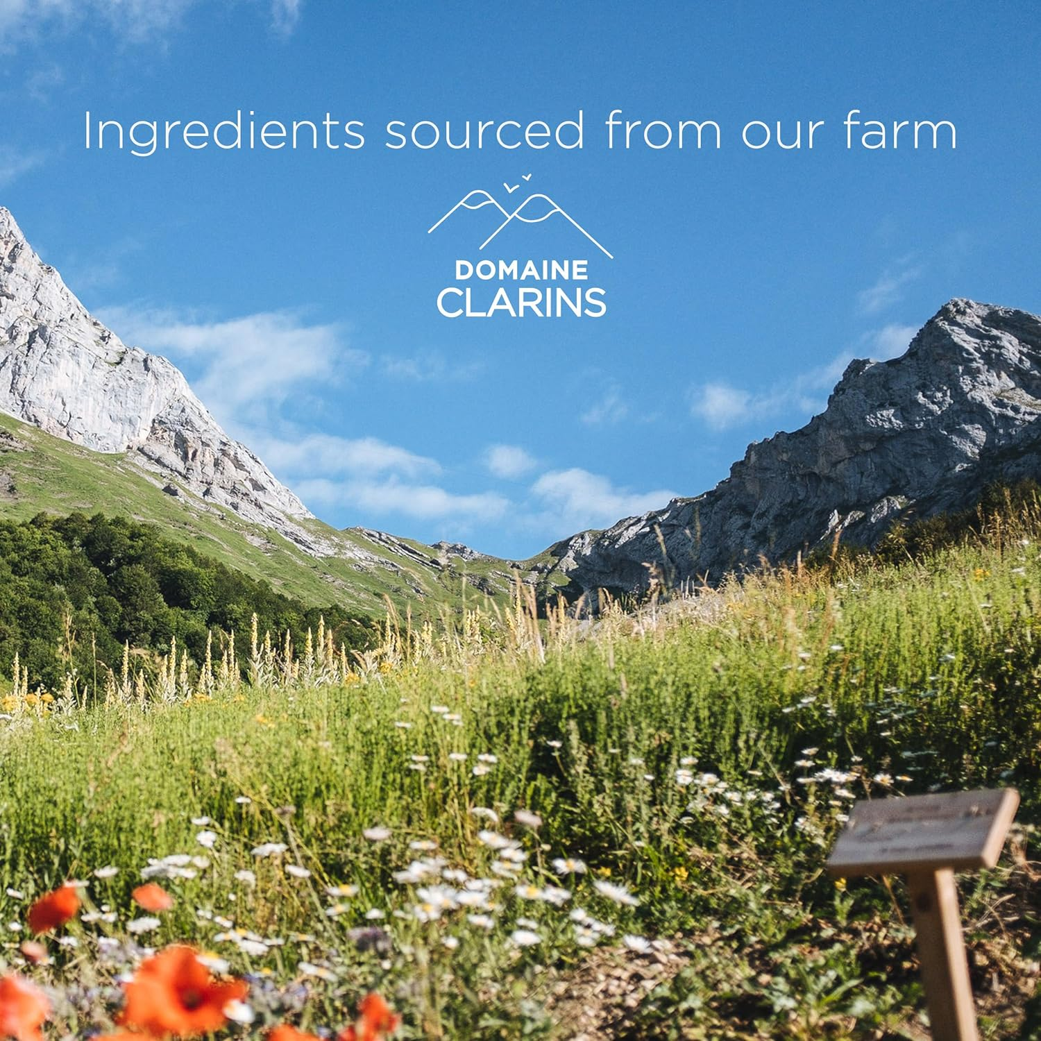 Clarins Total Cleansing Oil by Clarins for Unisex - 5 Oz Cleanser image number 6