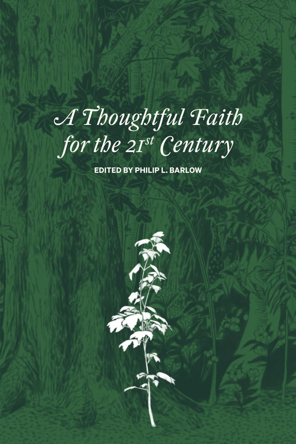 A Thoughtful Faith for the 21St Century image number 1