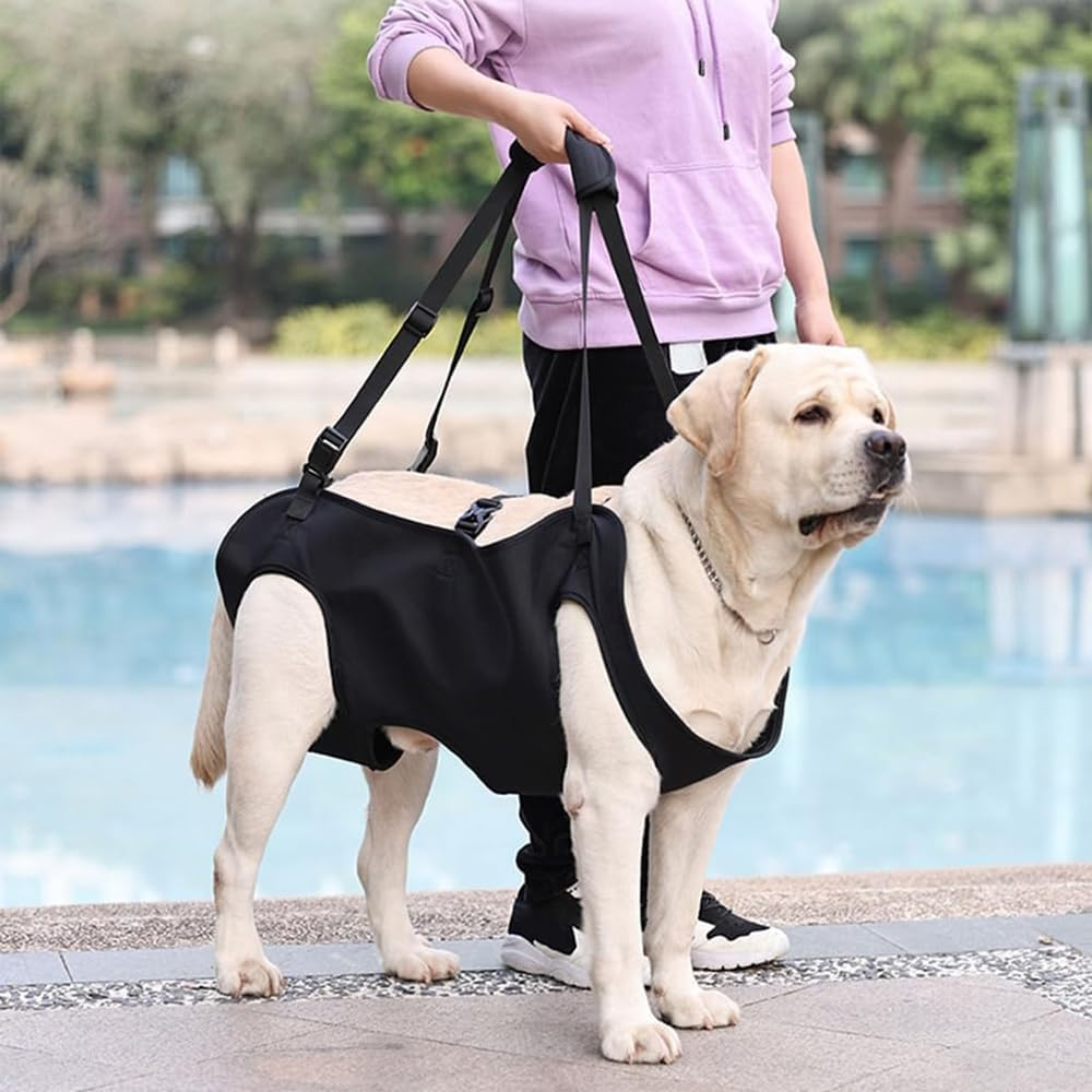 Dog Rehabilitation Training Belt, Breathable Straps - Adjustable Soft Support Sling, Helps with Surgery Recovery, Arthritis, Joint Injuries, Loss of Stability, Injured and Disabled Dogs image number 6