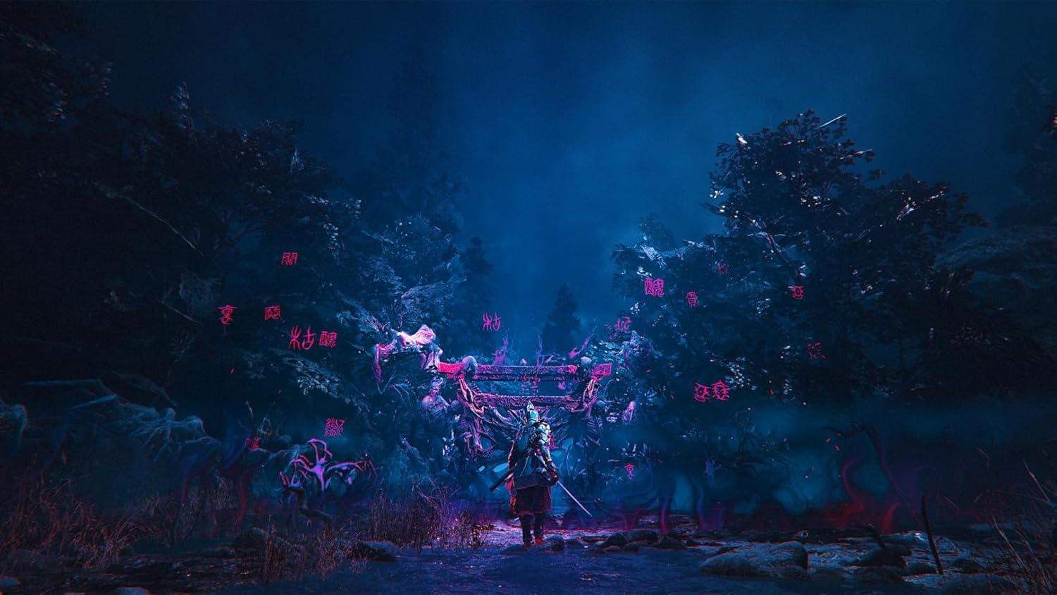 祇(くにつがみ):Path of the Goddess -Switch2 image number 4