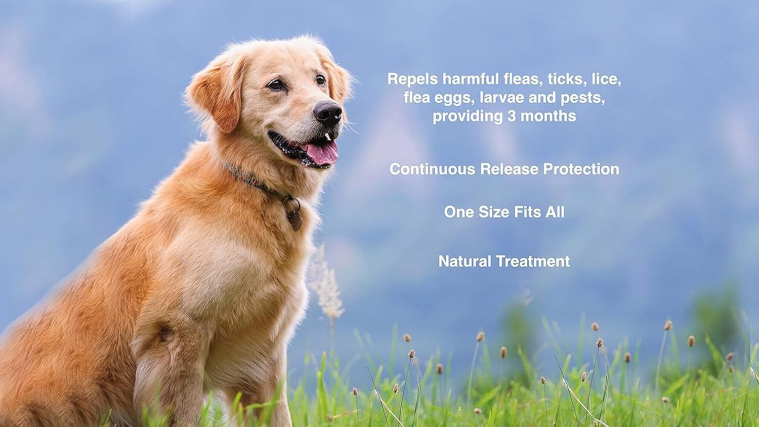 Flea Collar for Dogs 8 Months Natural Flea and Tick Collar Dog Protection Adjustable Dog Flea Collar for Small, Medium, Large Puppy Effective & Waterproof Lice, Tick and Larvae Repellent for Dogs image number 3