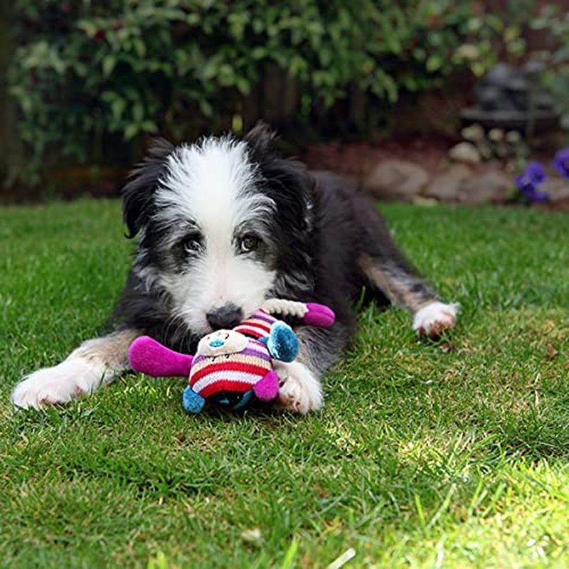 Rosewood 39021 Mister Twister Tilly Teddy Plush Dog Toy image number 2