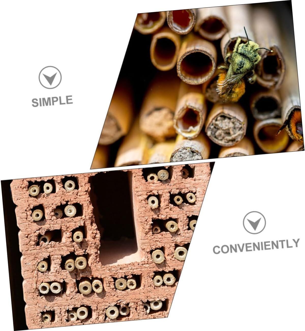 50Pcs Natural Reed Replacement Bee Tubes Nesting Inserts Safe Beekeeping Habitat for Mason Bees Outdoor Garden Pollinator Supplies image number 1