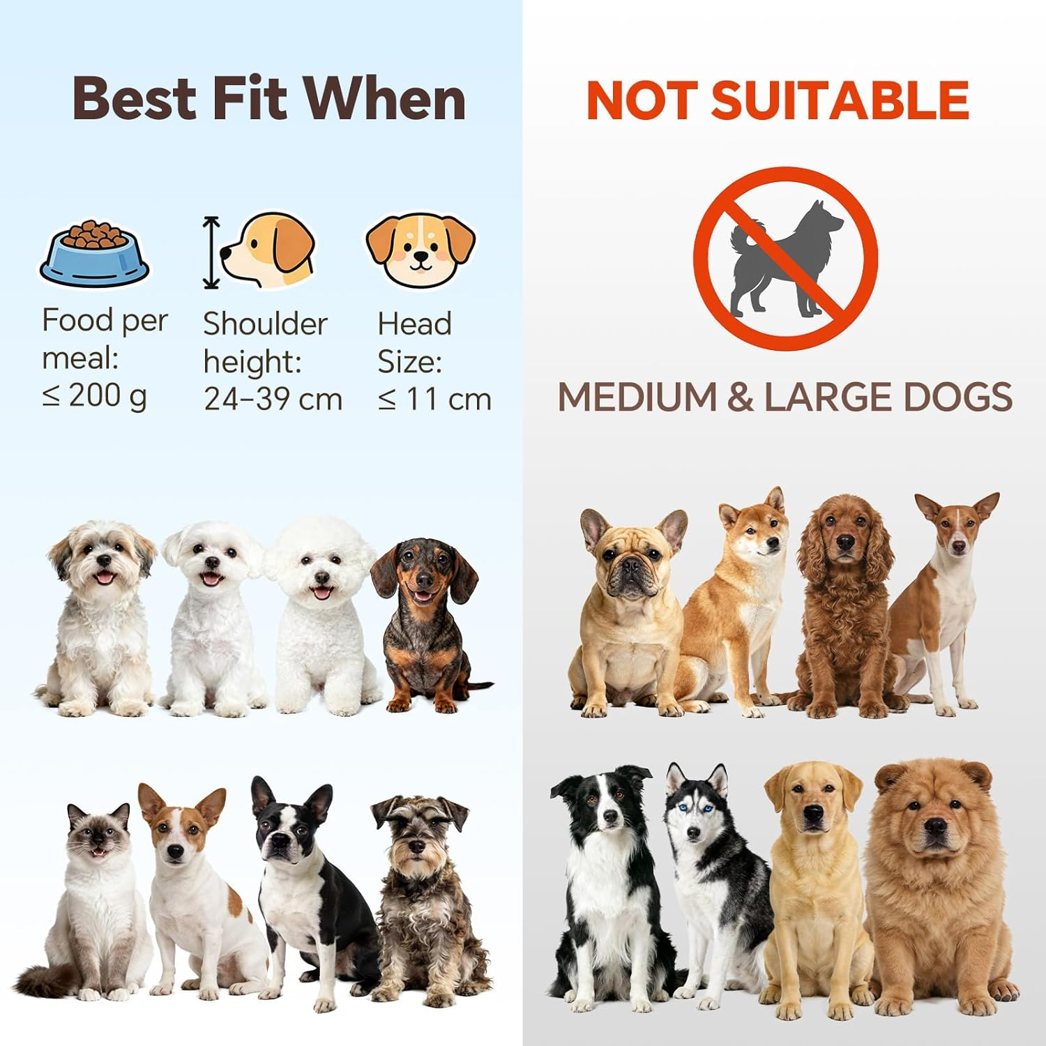 Elevated Ceramic Dog Bowl with Metal Stand - Raised Feeding Dish for Small Dogs and Cats - Ideal for Food or Water - Each Holds 400Ml / 2 Cups (Approx. 200G) - White image number 5