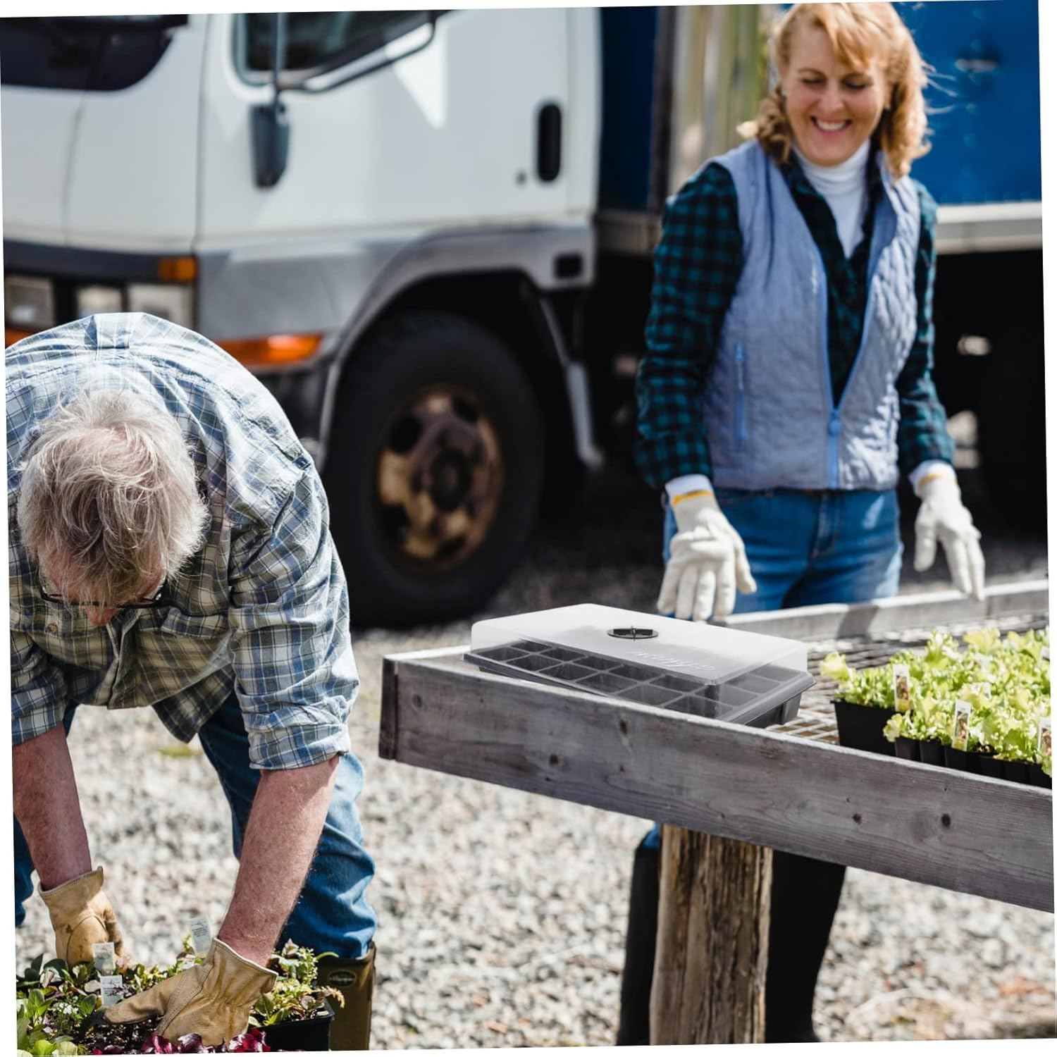 2Pcs Black Plastic Nursery Tray with 24 Holes and Ventilated Lid, Seedling Germination Container for Garden Planting and Hydroponic Seed Starting image number 5
