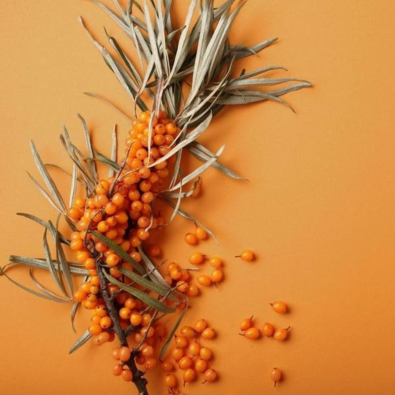 WELEDA Vitality Shower Cream - Sea Buckthorn 400Ml | Natural Body Wash | Zestful Fragrance | Vegan image number 2