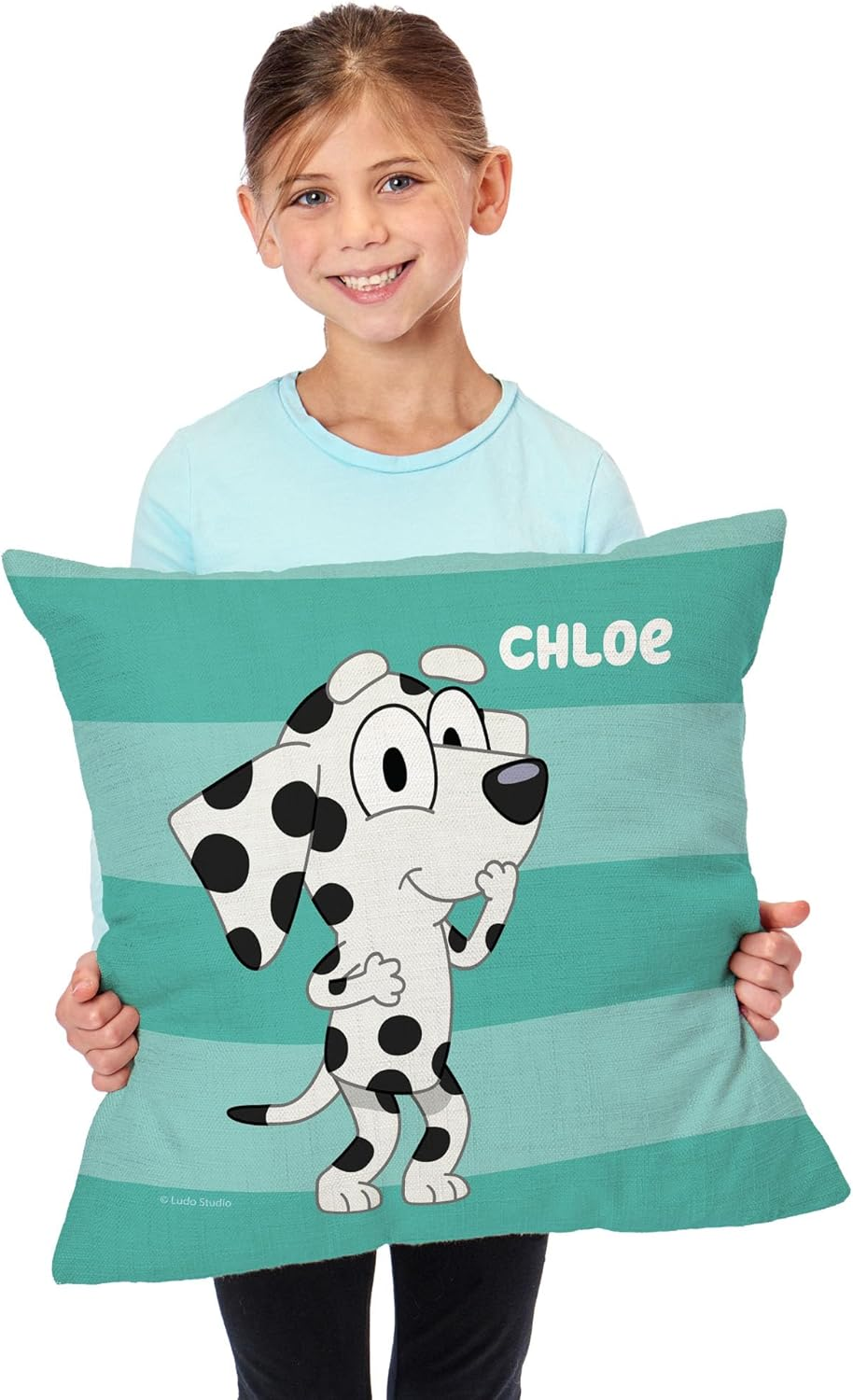 Northwest Bluey Pillow, 18" X 18", Roll Call Chloe - Roll Call Chloe image number 5