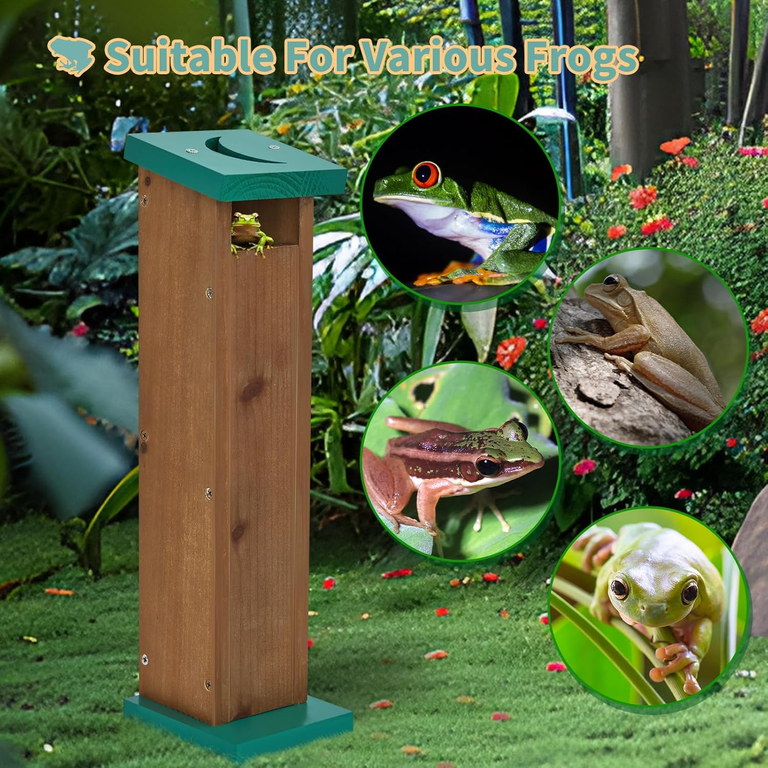 Tree Frog House for Many Species of Tree Frogs, Deluxe Wood Tree Frog Nest Frog Habitat Frog Shelter for outside Garden, Indoor Breeding (Brown) image number 3