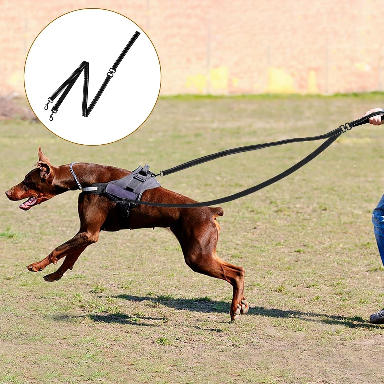 Two Point Control Dog Leash, Double Dog Leash, Training Leash, Multifunctional Double-Ended Dog Leash, Works with No Pull Harnesses, Ideal for Anti-Pulling Dog Training for Any Leash (Black, One Size)