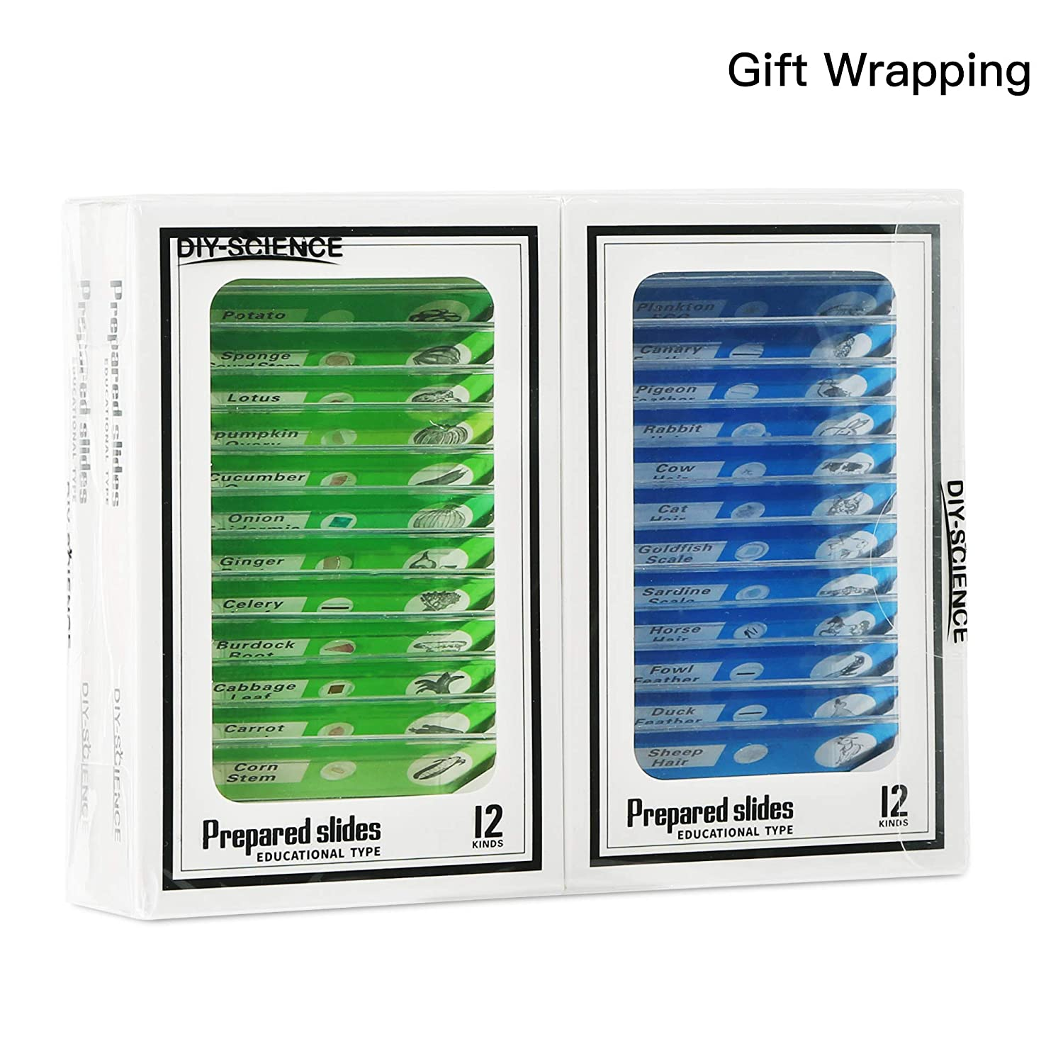 48 Prepared Microscope Slides Set of Animals Insects Plants Flowers, Biological Learning Resource Specimens for Kids Beginner Classroom Basic Science Education image number 5