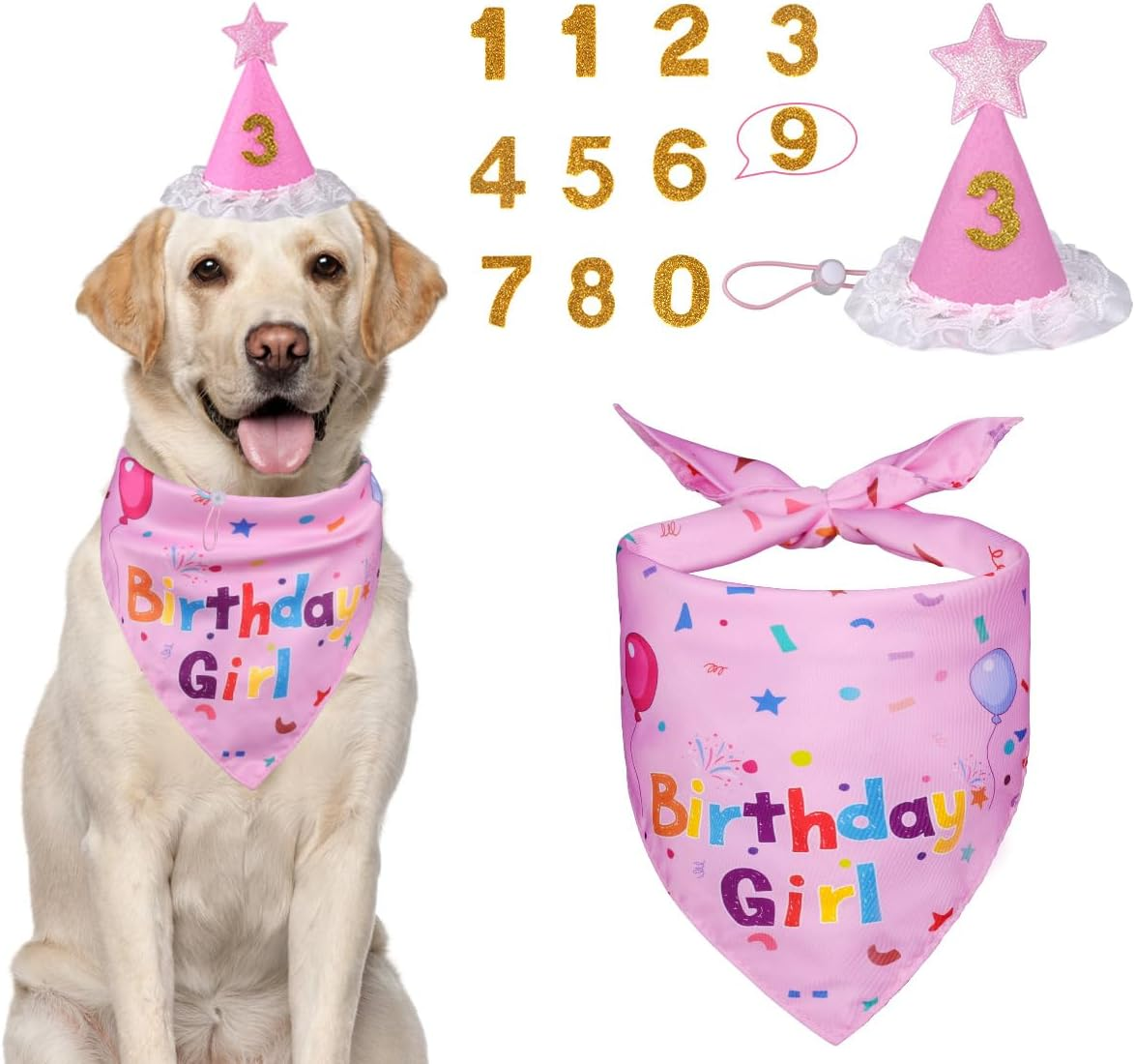Dog Birthday Bandana & Hat Set, Blue, Medium, Dog Accessories