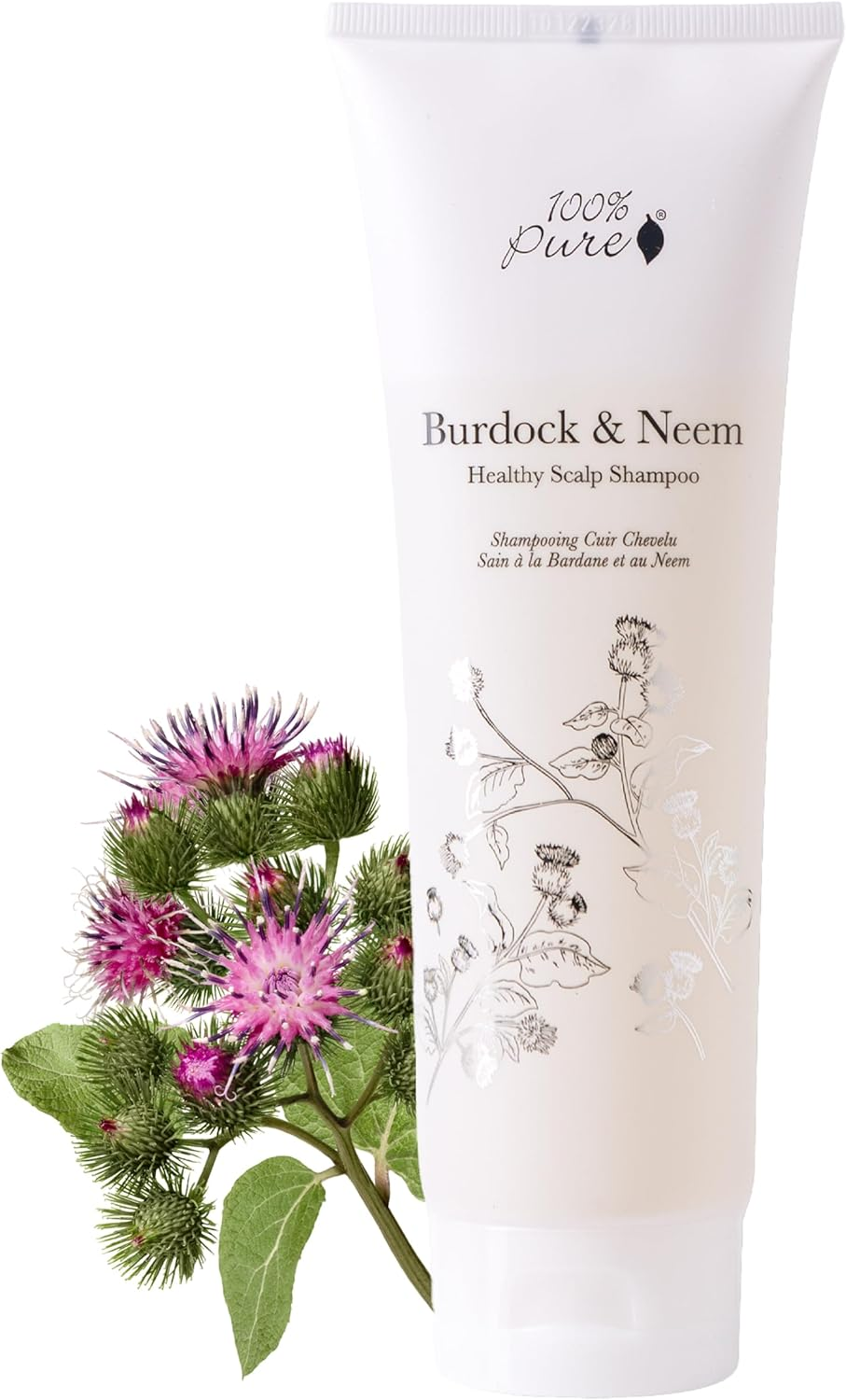 100% PURE Burdock & Neem Healthy Scalp Shampoo (8 Fl Oz), Sulfate-Free Shampoo for Dry, Itchy, Flaky Scalp, Dandruff Shampoo, Made with Coconut Oil, Vitamin E