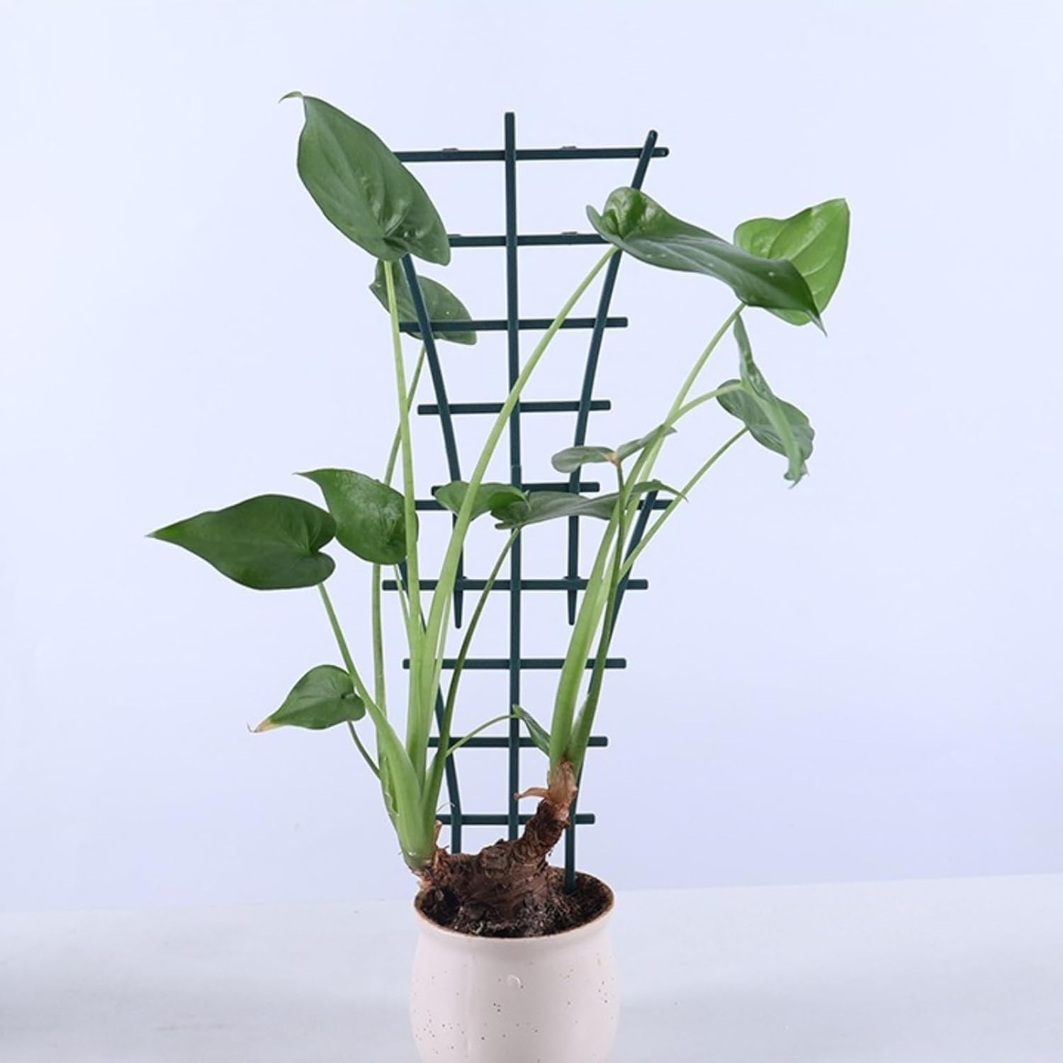 Abeillo Indoor Garden Trellis, 6Pcs Stackable Support Structure for Vining Vegetation, Compact Climbing Frame for Container Gardens, Flowerpot Scaffolding System, Pea Vines image number 3