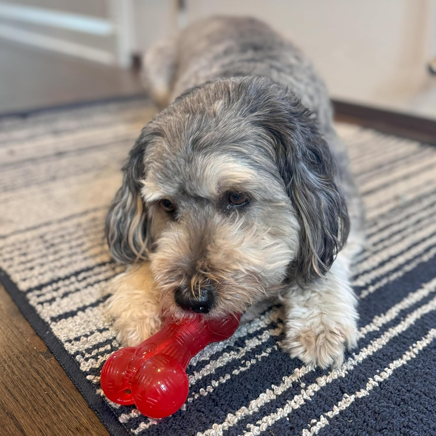 Ethical Pets Play Strong Virtually Indestructible Rubber Bone Dog Toy, 6.5-Inch image number 2