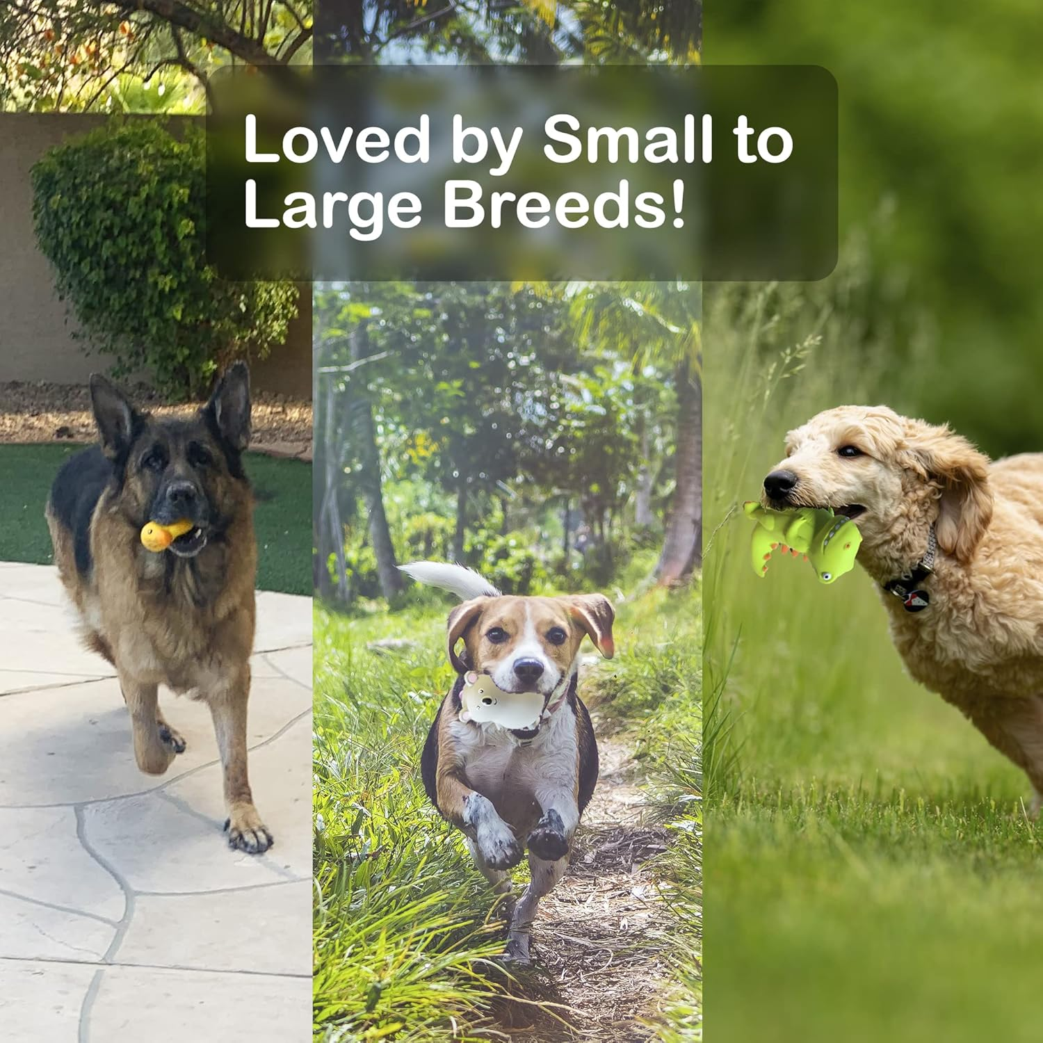 Jalousie 4 Inch Latex Dog Squeaky Toys Soft Rubber Dog Chew Toy Squeaky Toy Fetch Play Animal Ball Toy for Puppy Small Medium Pets Dog (5 Pack Animal Medium) - 5 Animal Small image number 4