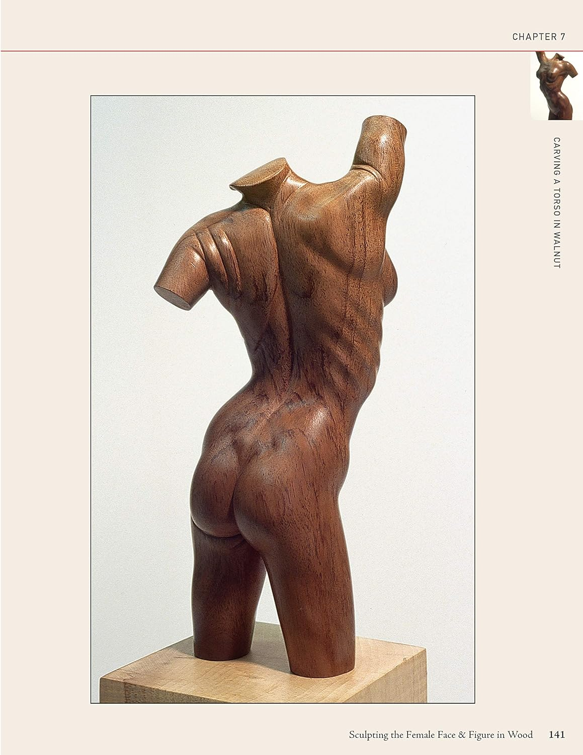 Sculpting the Female Face & Figure in Wood: a Reference and Techniques Manual image number 3