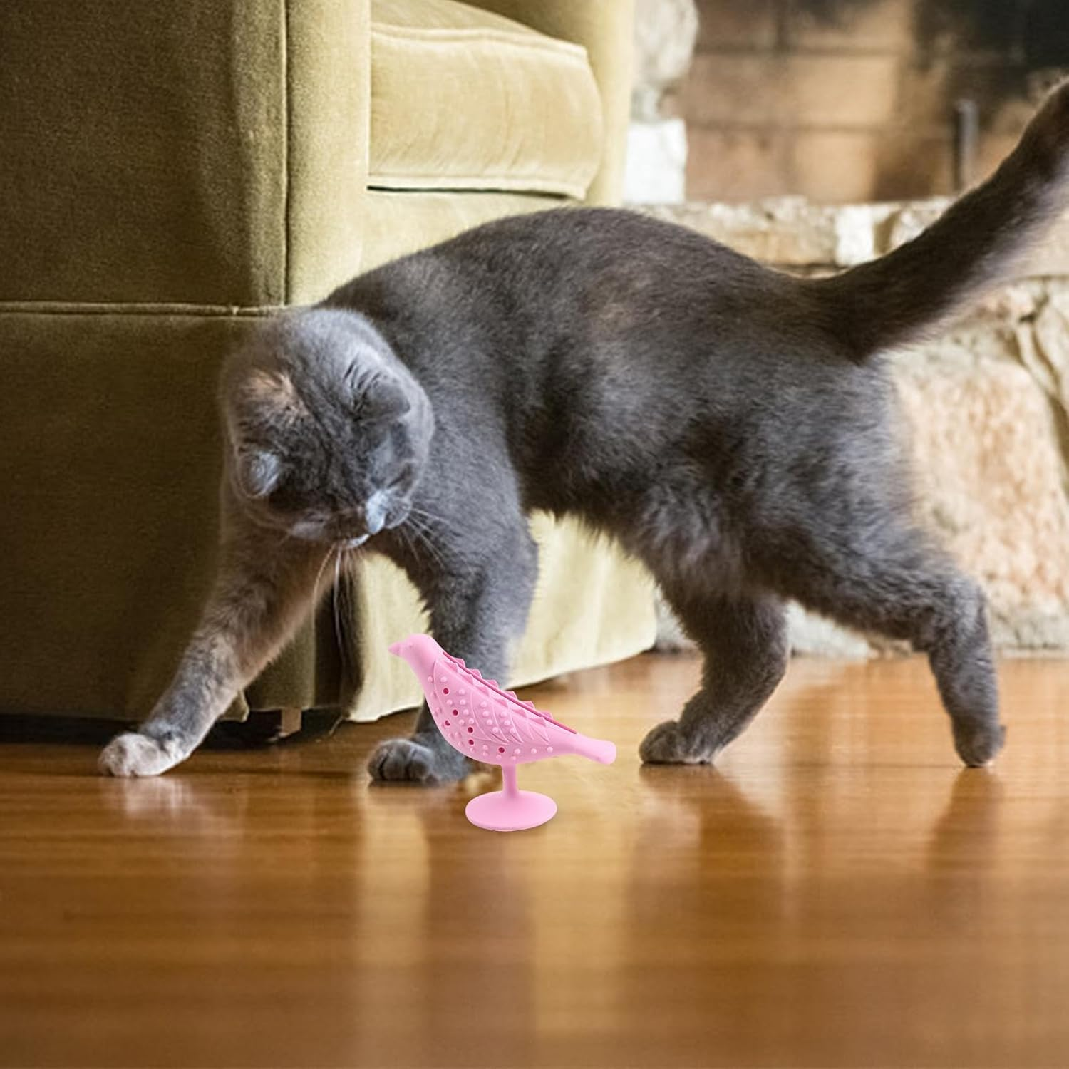 Kitten Chew Toy - Bite Resistant Catnip Toy with Bird Shape | Cat Teething Toys, Face Scratchers, Suction Cup Food Dispenser for Stress Relief