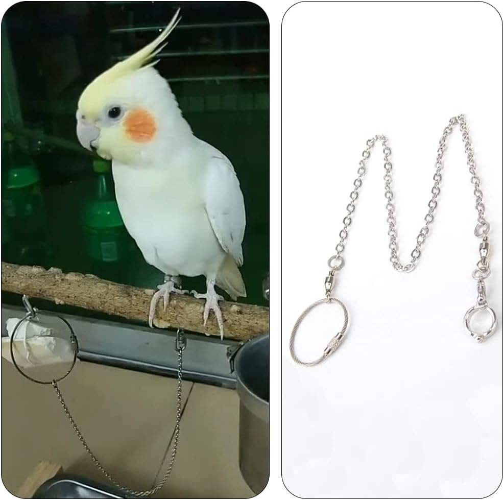 XUSUD Bird Foot Rings Stainless Steel Split Bird Rope Rings Anti-Bite Bird Training Chains for Parrot or Starling Bird Pets image number 4
