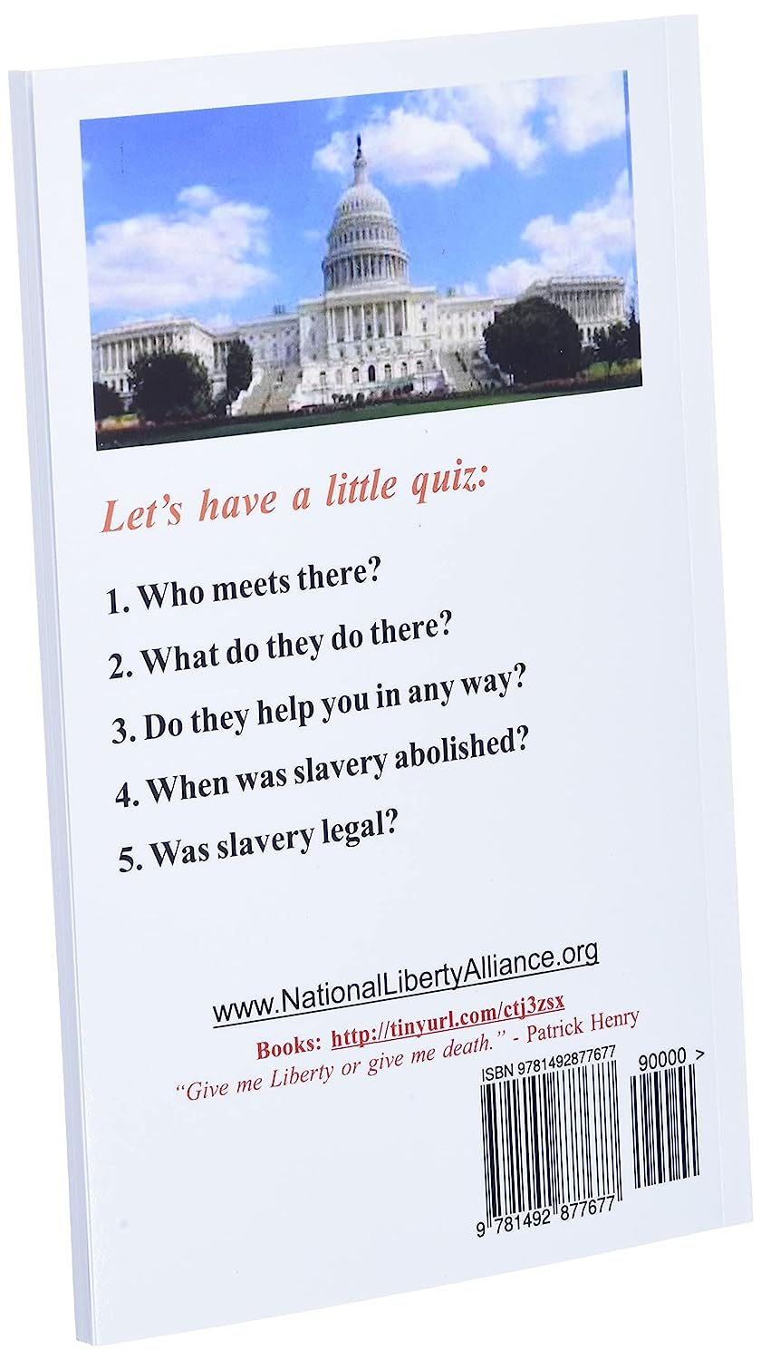 Meet Your Strawman: and Whatever You Want to Know image number 3