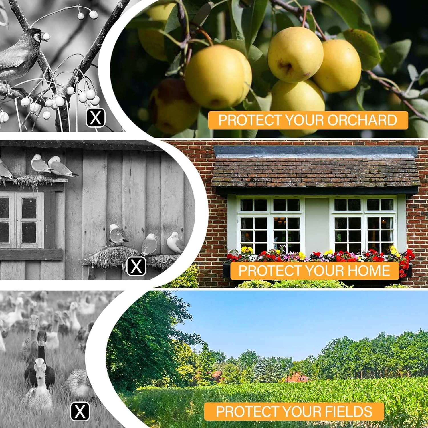 ASTIMESA Double Sided Reflective Bird Scare Tape, Holographic Sparkly Bird Tape, Flash Reflective Ribbon for Birds Woodpeckers Pigeons Keep Away from House Garden Patio (3 Roll 787.4 Ft) image number 2