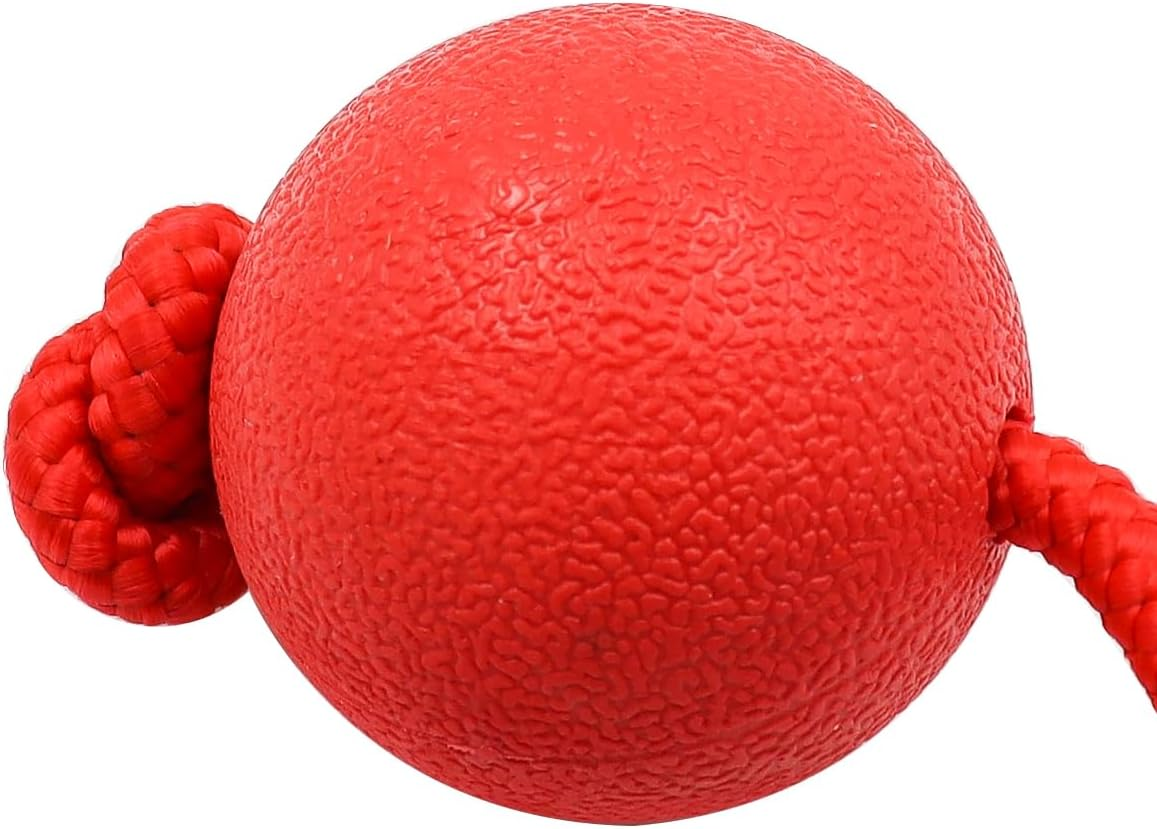 Sarini Pack of 2 Elastic Dog Game Ball with Rope,Natural Rubber Throwing Ball, Dog Ball with Cord, Pet Ball Game with Rope for Large and Small Dogs, Wide Throws, Catching image number 2