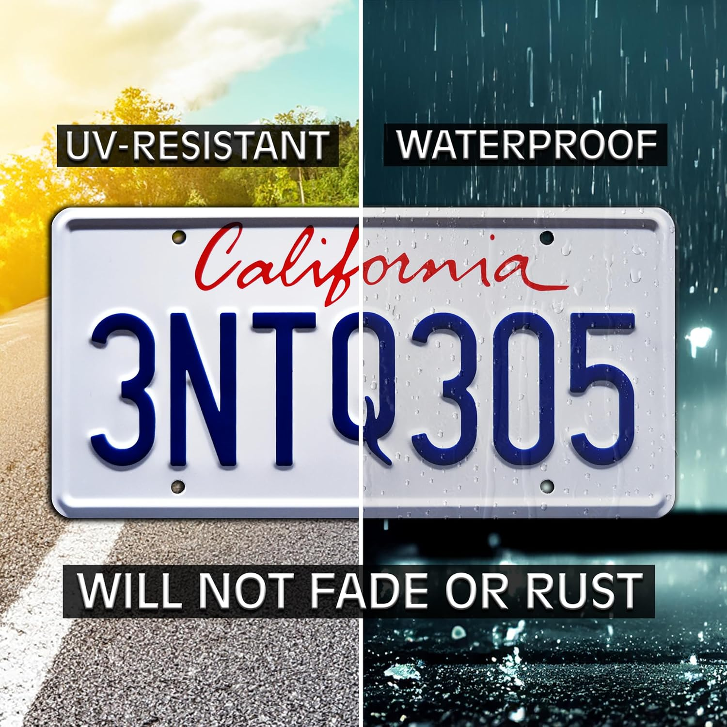 The Fast and the Furious | 3NTQ305 | Stamped License Plate image number 5