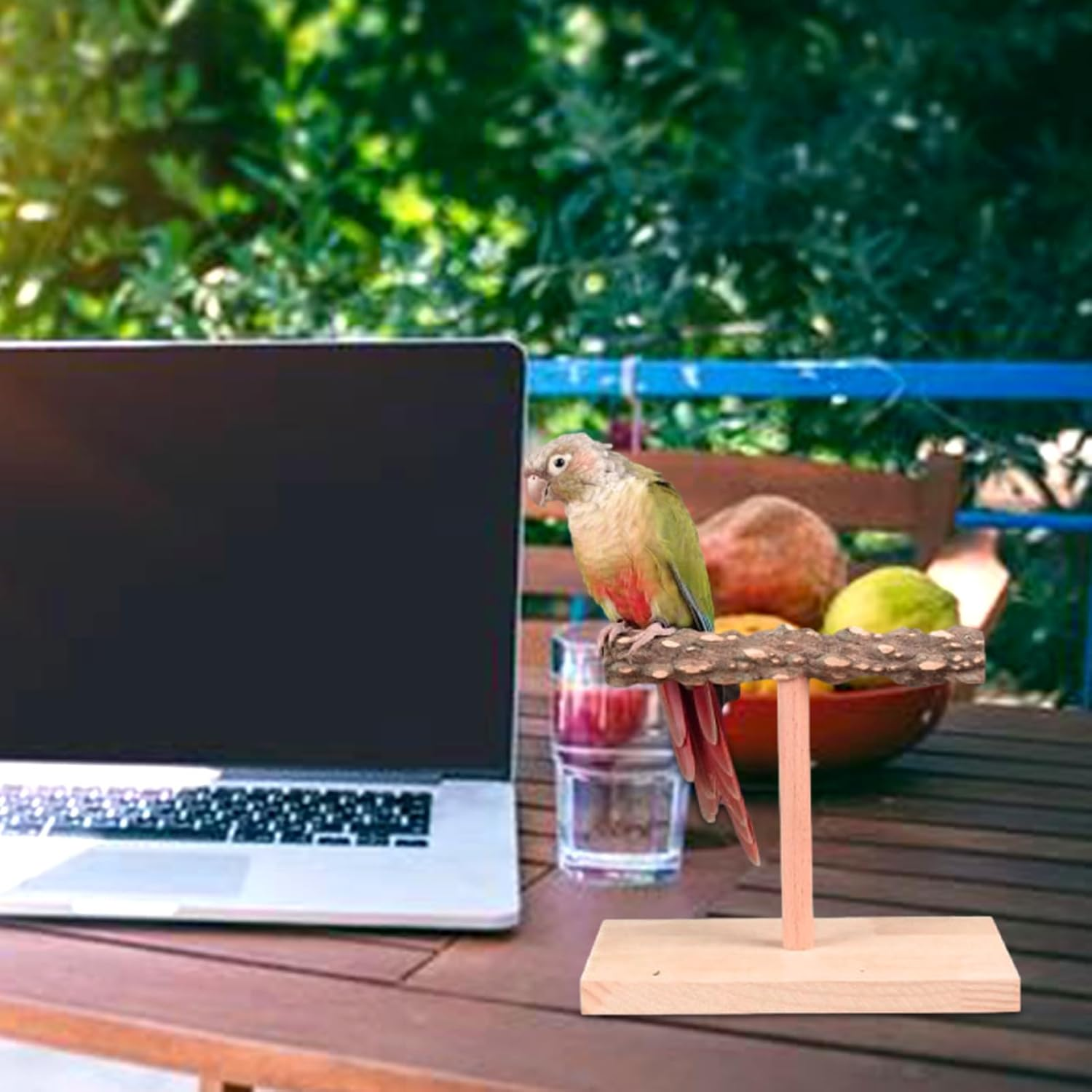 Bird Stand - Endable Bird Platform T Shape, Games Training Station, Pet Training Rack, Tabletop Parrot Toy | Bird Stand with Sturdy Handle for Cockatiel Macaw Tiger Indoor image number 6