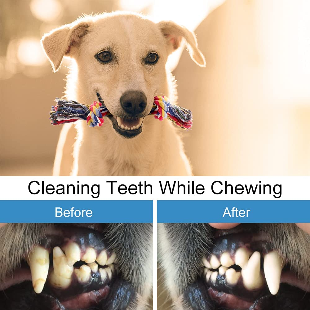 PLUTUS PET Dog Chew Toys for Aggressive Chewers, 8 Pack Interactive Dog Rope Toys, Washable Cotton Tough Dog Toys, Teething Toys for Puppies Small and Medium Dogs image number 1