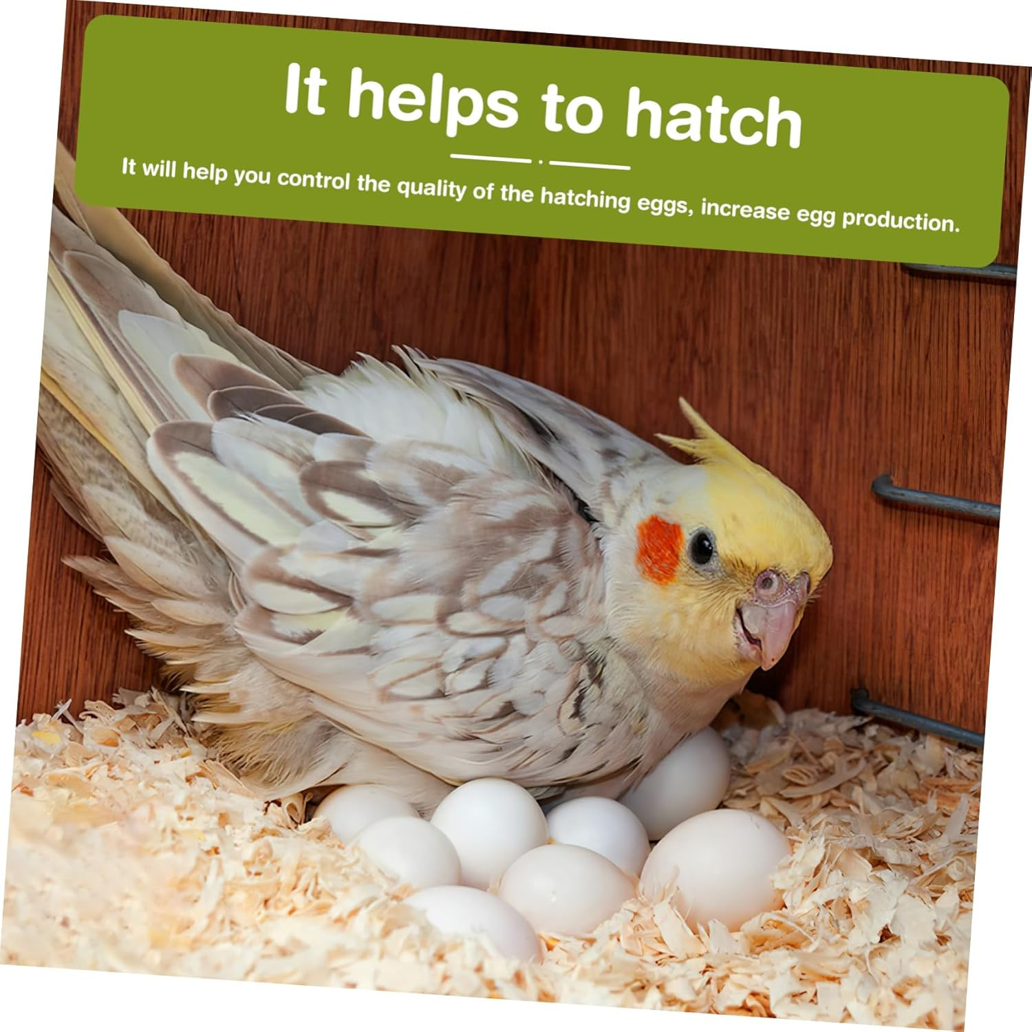 JOINPAYA 10Pcs Realistic Fake Bird Eggs for Cockatiel Breeding Training Solid Weight Imitation Naturalistic Design Proper for Home Decor and Bird Care image number 2