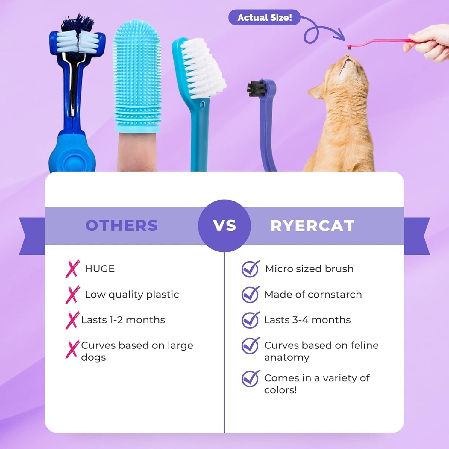 RYERCAT Set of 5 Dual-Sided Cat Toothbrushes - Kitten Toothbrush with Micro Head to Fit into Cat/Kittens Mouth - Cat Dental Care Supplies - Pet Toothbrush for Cats - Amethyst Purple  Ocean Blue image number 6