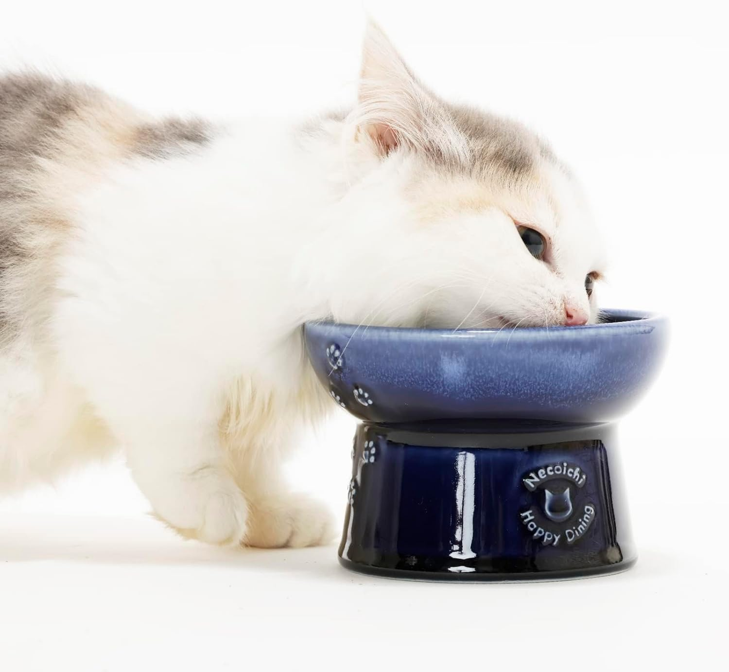 Neko-Ichi Food Bowl with Legs for Cats, Mino Ware, Made in Japan (Blue, Food) image number 7
