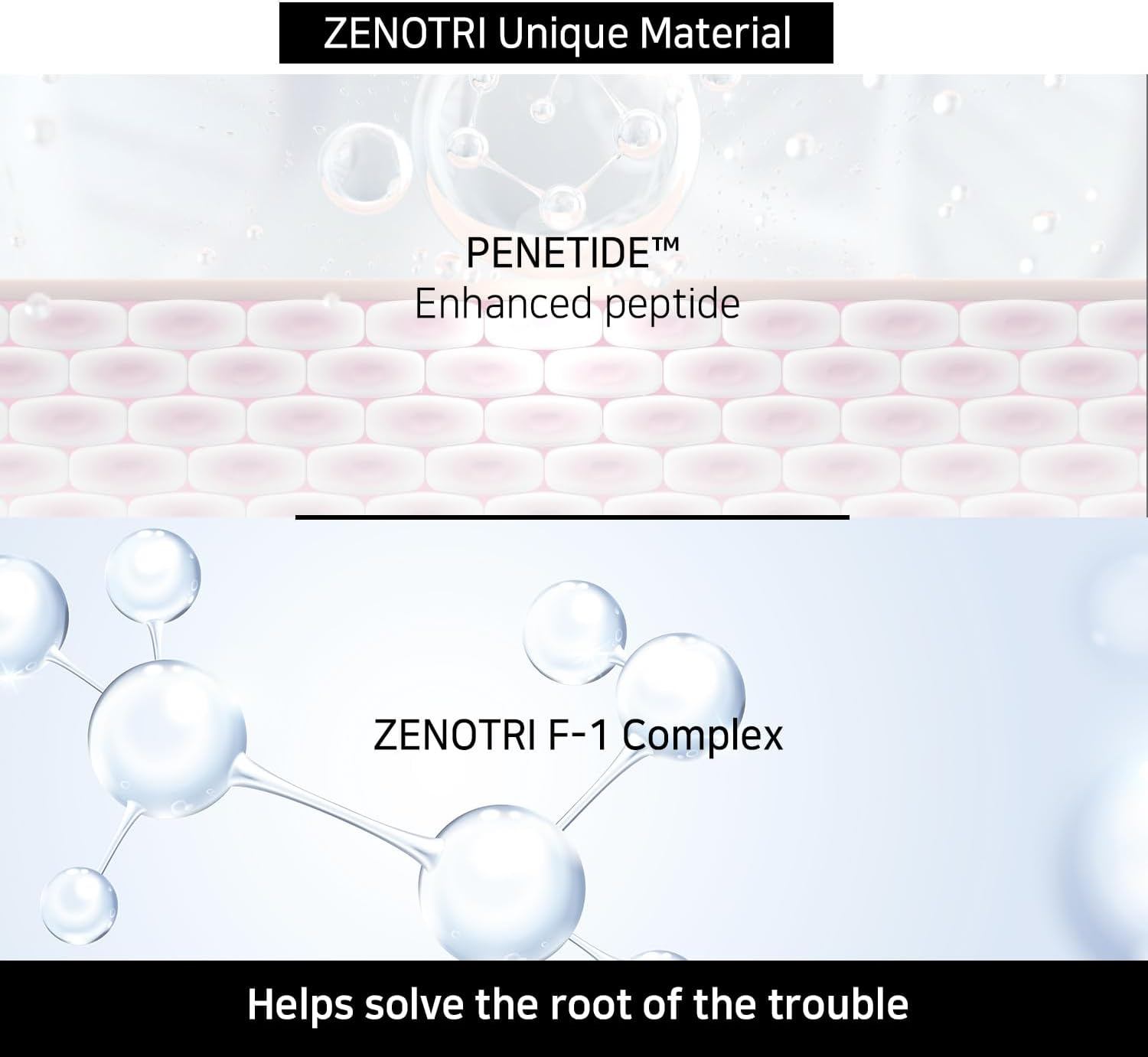 ZENOTRI Follicle Shampoo Hair Loss Zero with Copper Peptide, Biotin, Dexpanthenol, Pyrithione Zinc/Genetic Hair Care Solution image number 5
