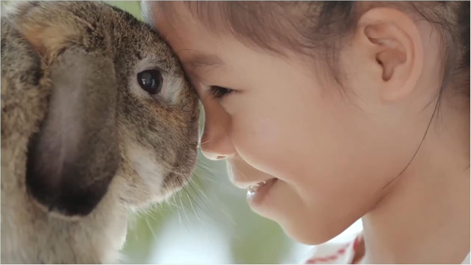 Selective Naturals Garden Sticks 60Gm - Treats Suitable for Rabbits and Guinea Pigs, Pea and Mint image number 5