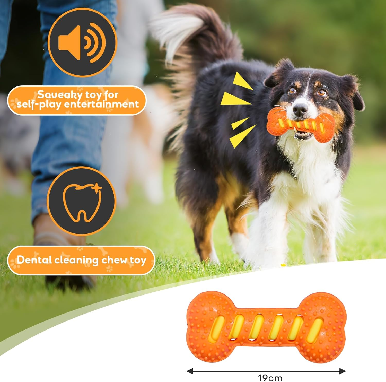 Elevated Dog Food Bowls, 5 Heights Adjustable(8Cm, 22Cm, 25Cm, 28Cm, 31Cm), Raised Dog Bowl Stand with 1 Stainless Steel Bowl & 1 Slow Feeder Bowl, Food Dishes for Small Medium Large Dogs