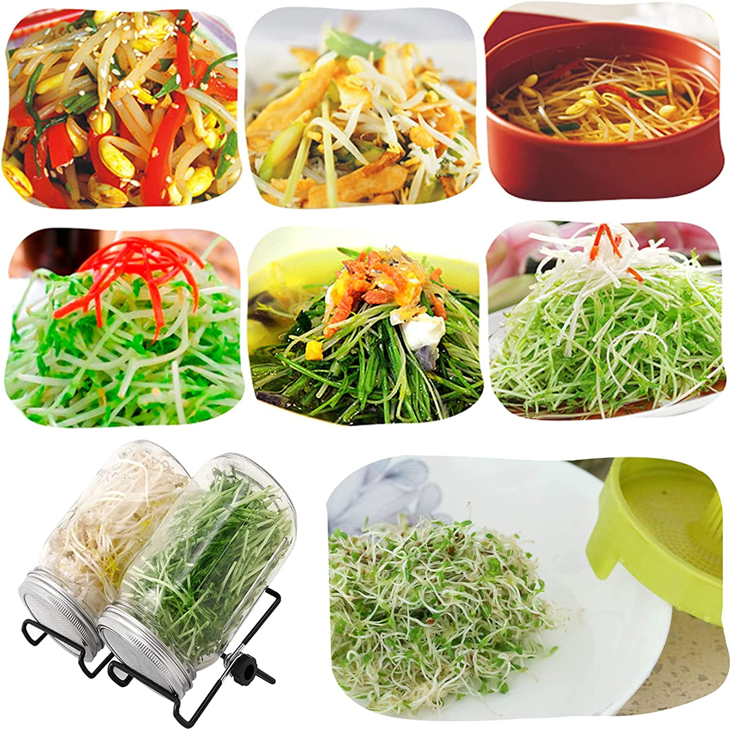 Seed Sprouting Jar Kit, 2Pcs Wide Mouth Quart Mason Jars with 304 Stainless Steel Screen Sprout Lids,86Mm Caliber,1000Ml,With Tray,Stand,Shading Cloth and Canning Brush,For Making Seeds Sprouts image number 6