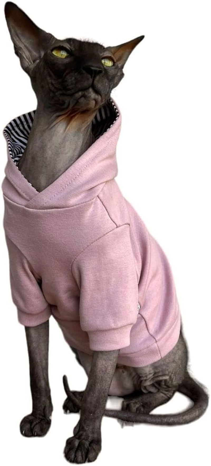 Kotomoda Sphynx Cat Hoodie Naked Cat Hairless S image number 1