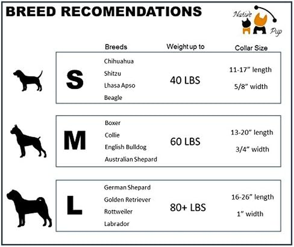 Native Pup Chicago Flag Dog Collar (Medium, Big Stars)