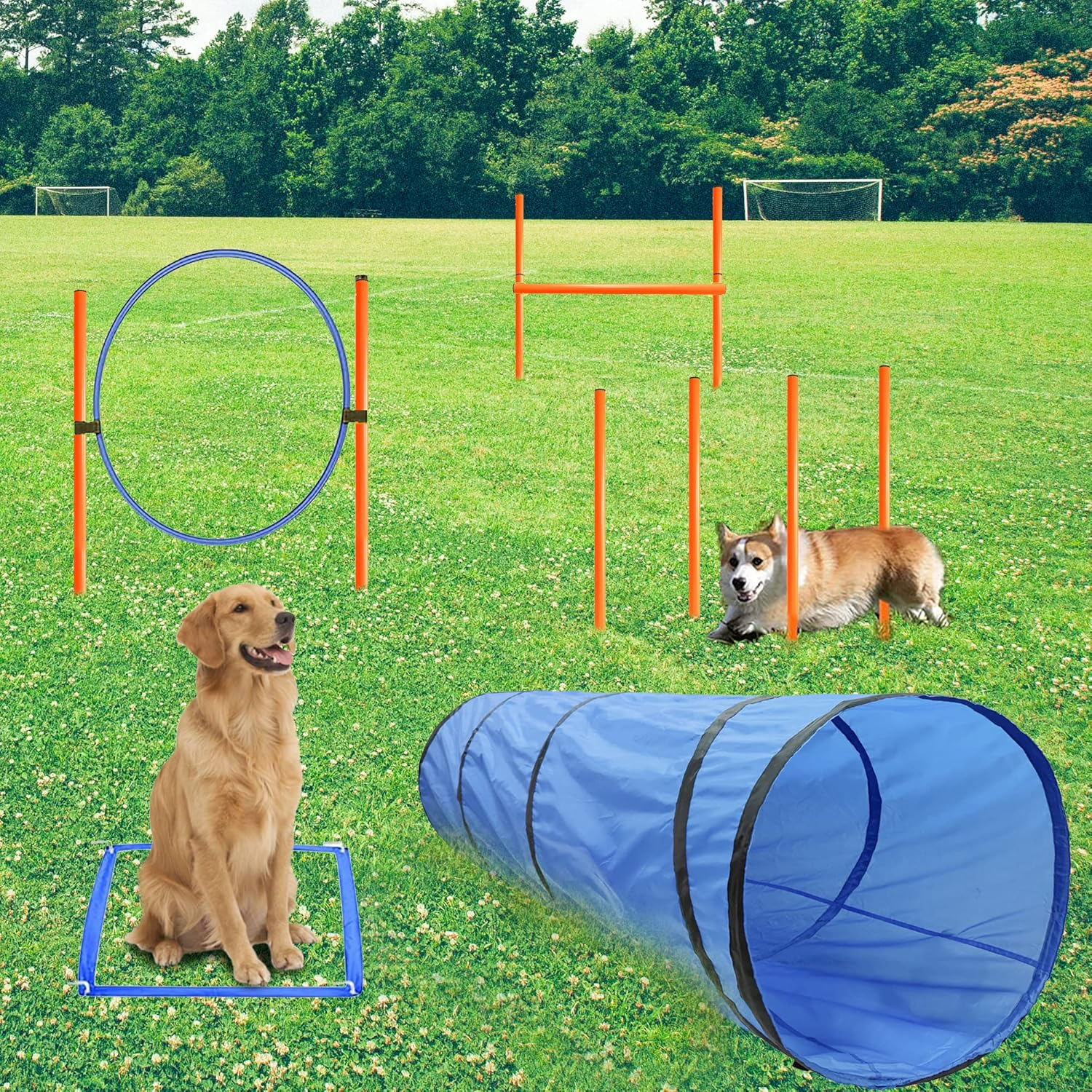 Geerduo Dog Agility Training Equipment, Obstacle Agility Training Starter Kit for Doggie, Including Tunnel, 13 Weave Poles, Adjustable Hurdle, Jump Ring, Pause Box and Carrying Bag(Blue) image number 6