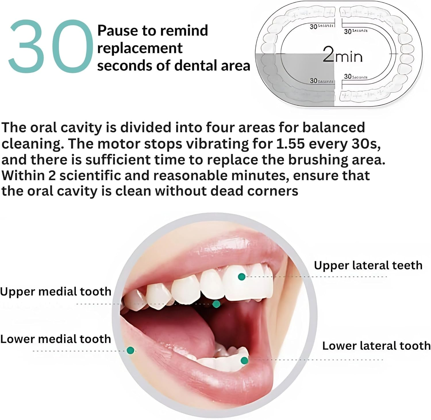 Opal Abode - Rechargeable Sonic Electric Toothbrush &ndash; 5 Modes, 8 German Dupont Brush Heads, Smart Timer, USB Travel Case & Holder &ndash; White Waterproof IPX7, Deep Clean Plaque Remover for Adults & Kids. 42000 High Frequency Vibration. image number 6