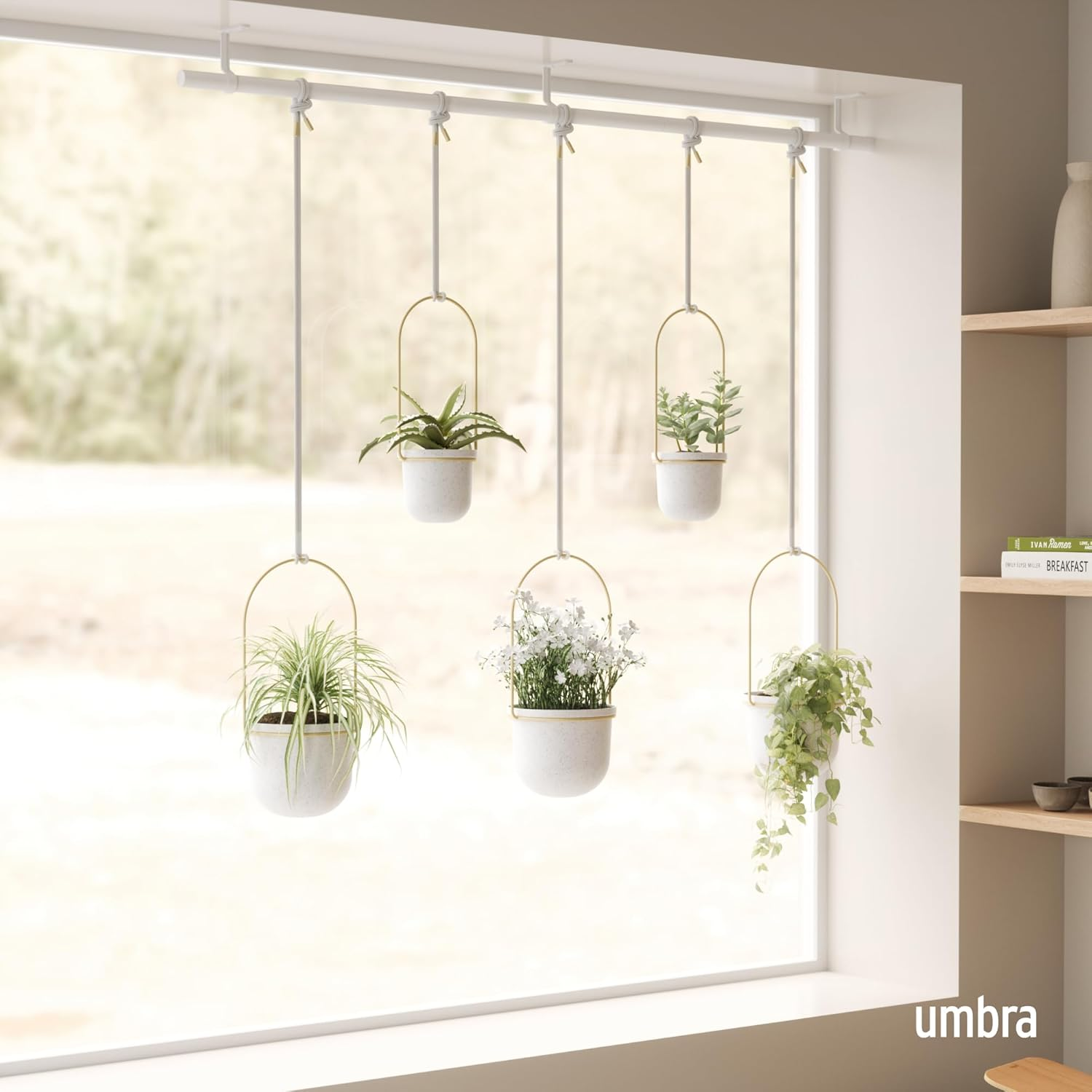 Umbra Triflora Hanging Planter 5-Pieces, Large, White/Brass image number 6