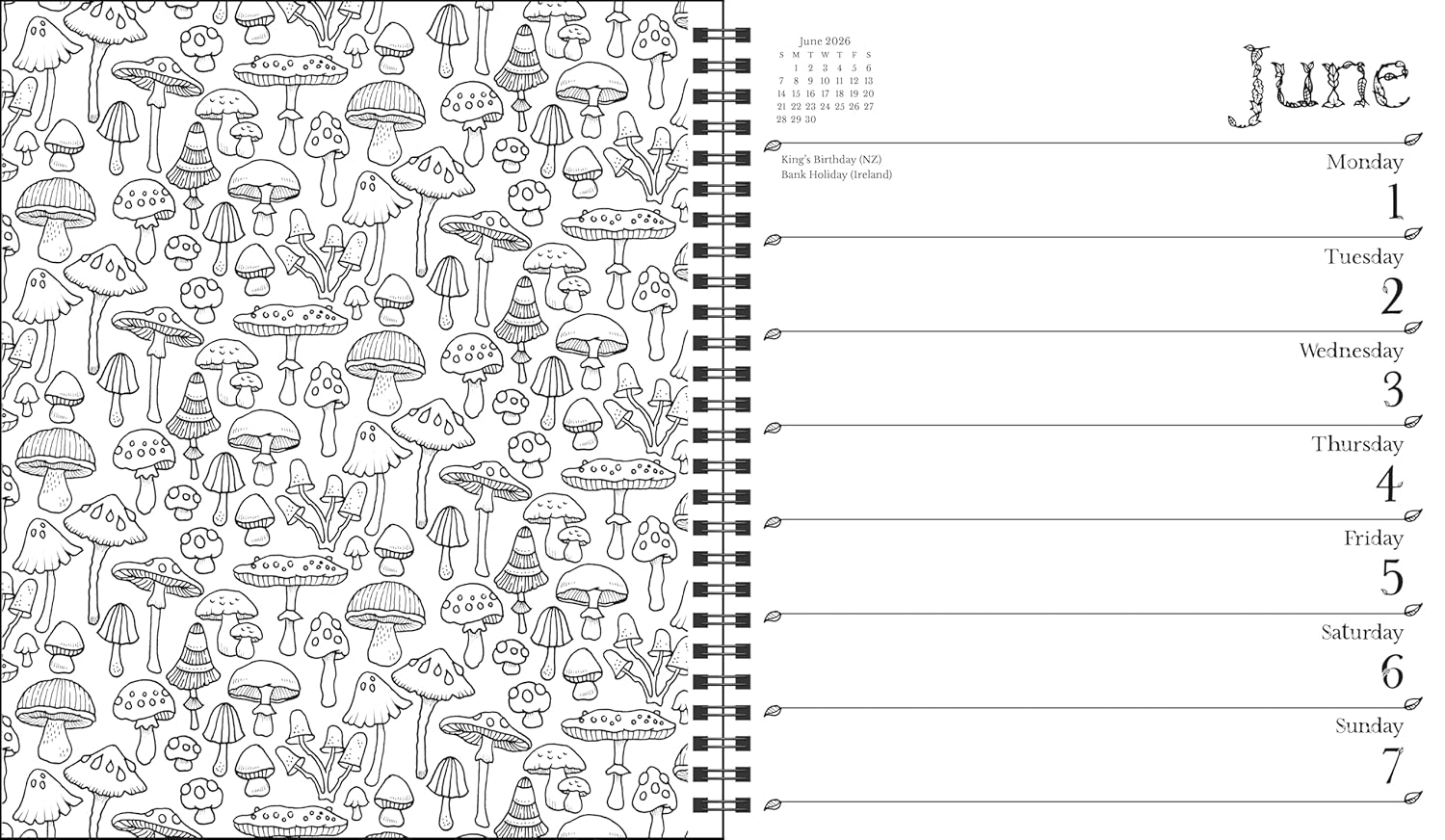 Johanna Basford 12-Month 2026 Weekly Coloring Calendar image number 4