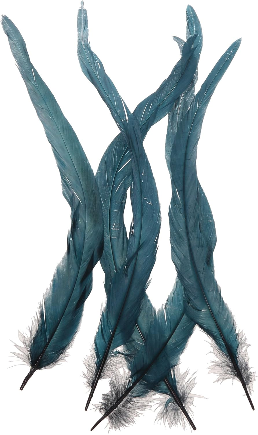 Kiyohara FT12 Cock Fringe (Set of 5), Turquoise, 10.6-13.0 Inches (27-33 Cm), image number 2