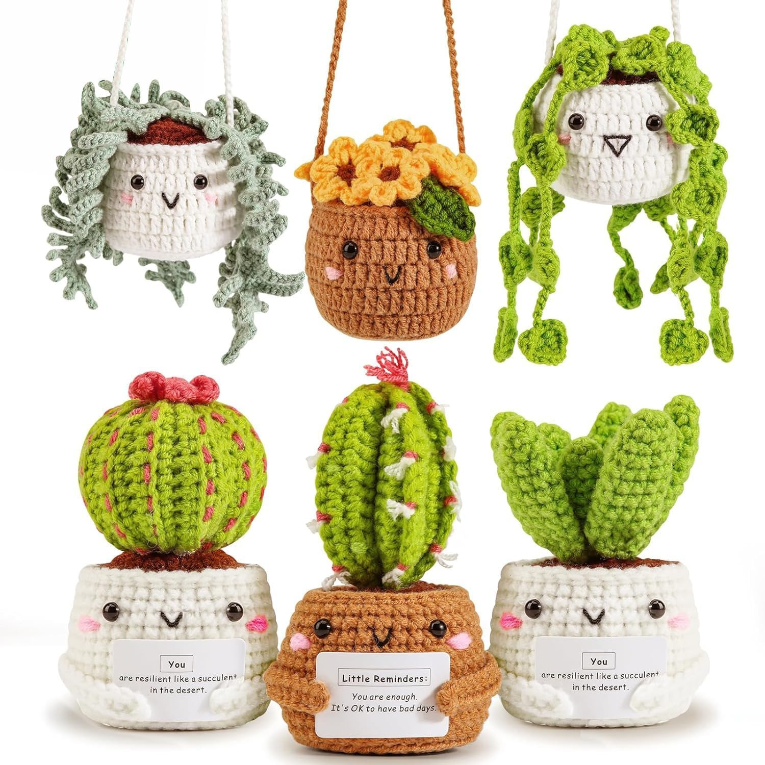 Crochet Kit for Beginners | Emotional Support Succulent Crochet & Knitting Kit with Step by Step Video Lessons | 6 PC Succulent Crochet Kit with Crochet Accessories(40%+ Yarn)