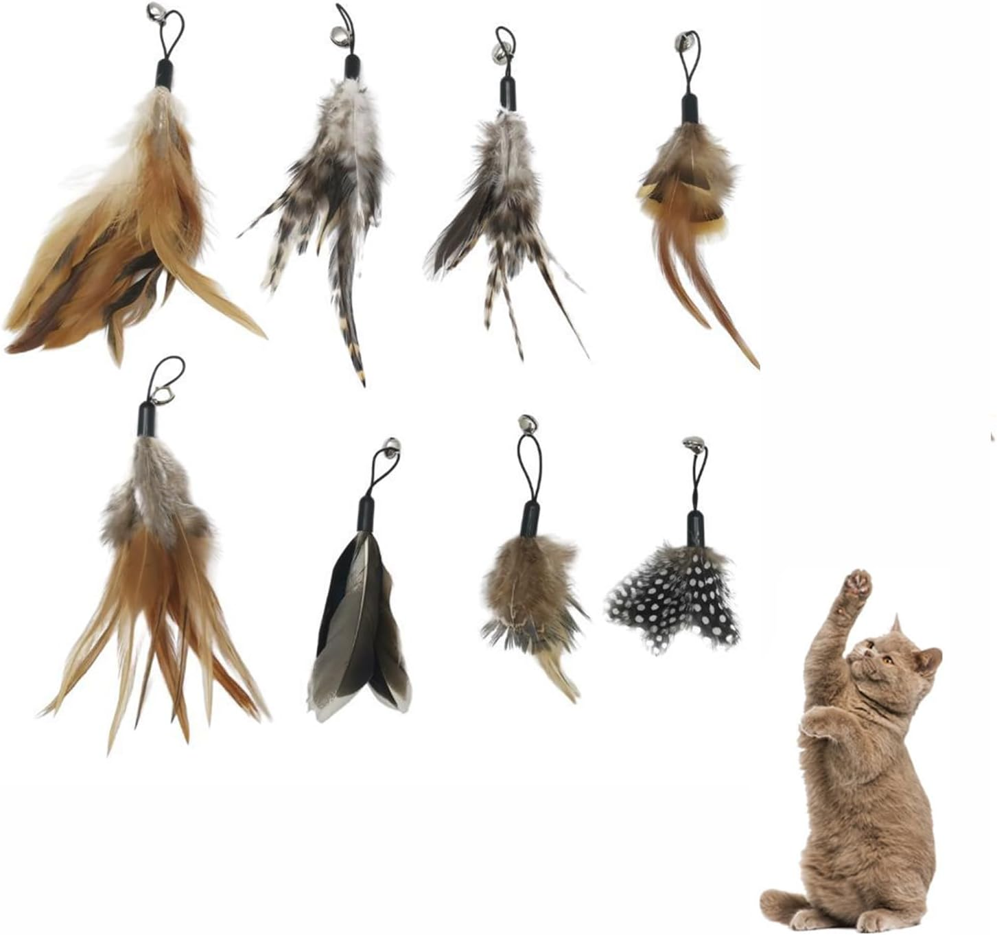 Hyxodjy Pack of 8 Cat Feather Toy, Cat Toy Set, Cat Toy Feathers, Replacement Cat Feather Toys, Cat Toy with Feathers, Interactive Cat Toy for Cats and Kittens image number 3
