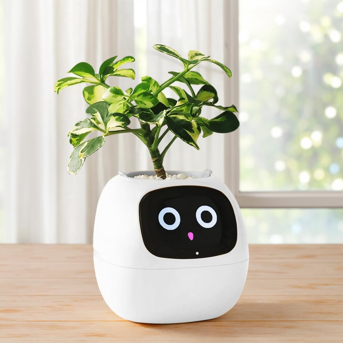 Smart Flowerpots AI Planter, 49 Expressions, 7 Sensors, APP Control Robot for Interactive Plant Care Auto Watering, Time/Temp Display for Indoor Decoration, Gifts，Plant-Free (White) image number 6