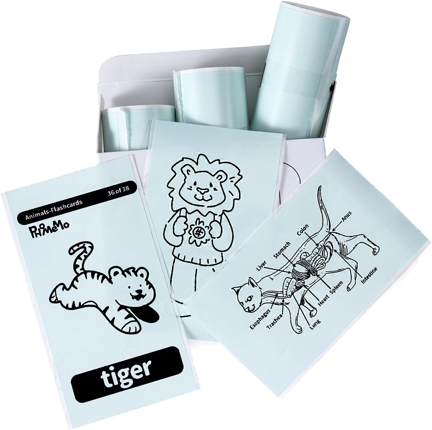 Memoking T02/M02X/M02L White Thermal Paper-10-Year Sticky 50Mmx3.5M for Journal Photo Texts Study Notes and More, 3 Rolls