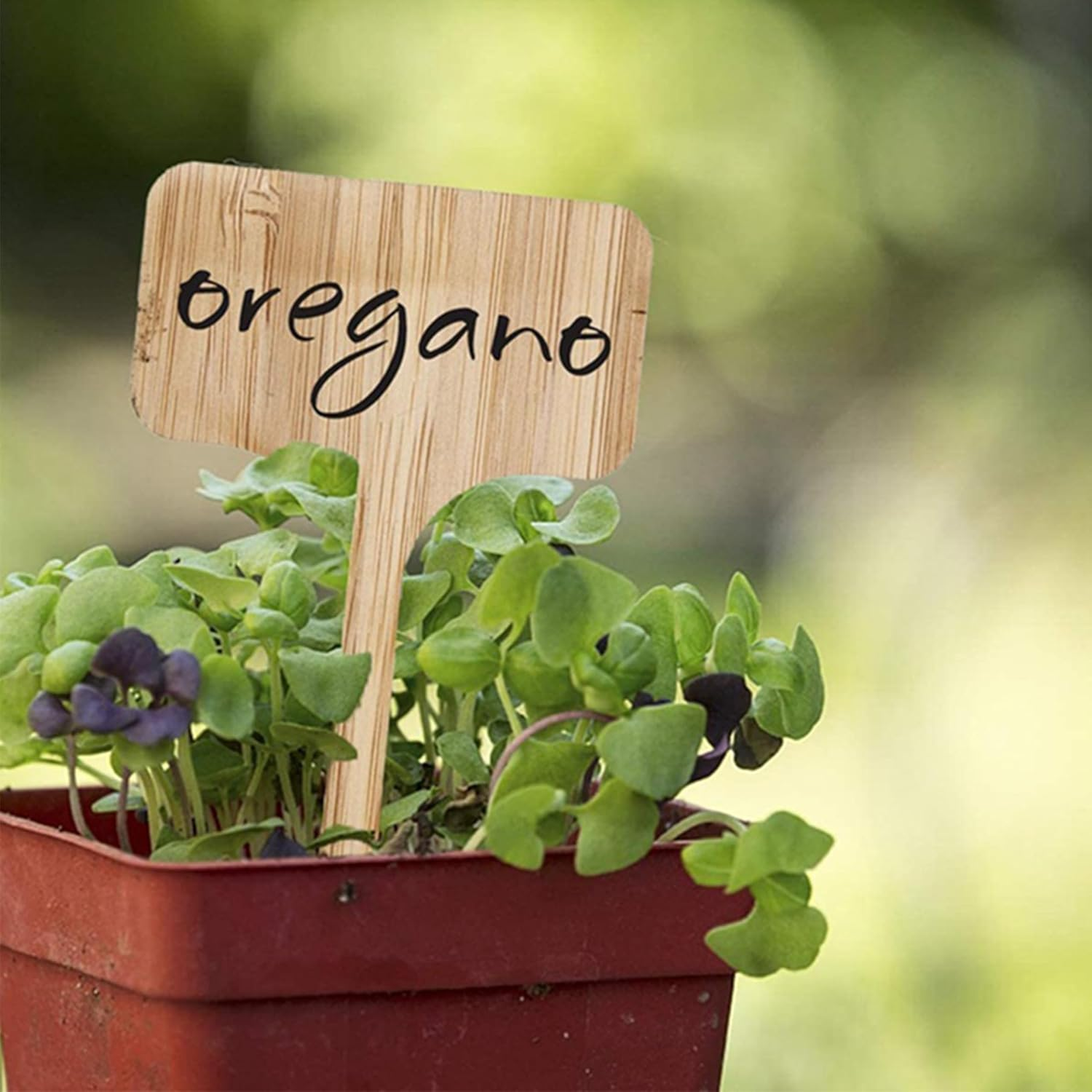 30Pcs Bamboo Plant Labels with a Marker Pen, T-Type Wooden Plant Marker Garden Sign Tags Garden Markers for Seed Potted Herbs Flowers Vegetables (6 X 10 Cm) image number 6