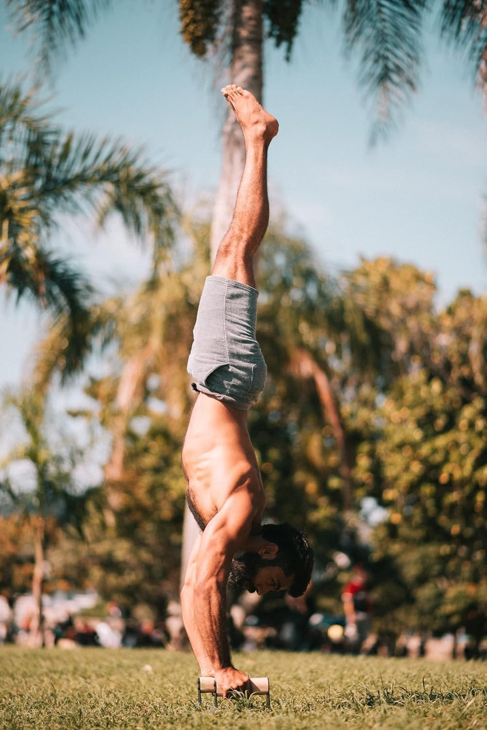 Homodoskey Parallettes - Push up Handles with Ergonomic Wooden Handles & Heavy-Duty Steel - Non-Slip Parallettes Bars for Strength Training and Calisthenics - Press up Handles for Push Ups image number 4